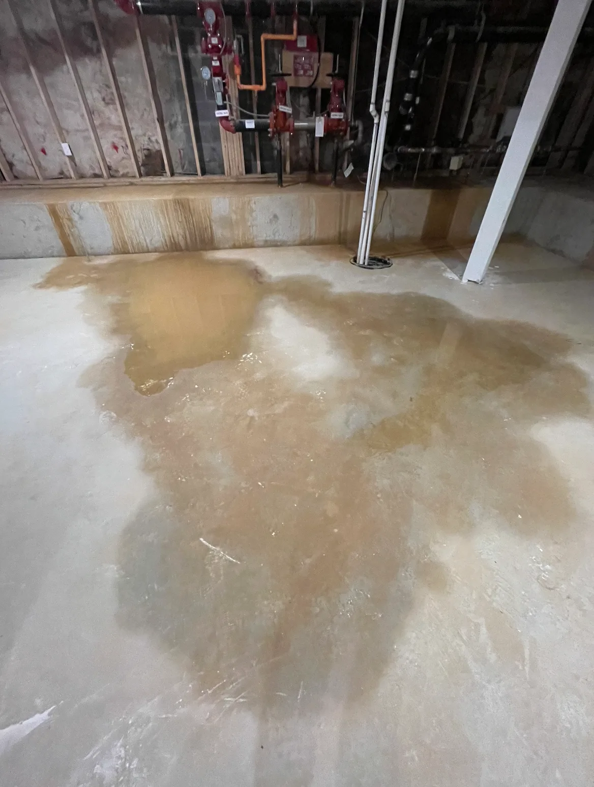 Standing water in basement requiring waterproofing